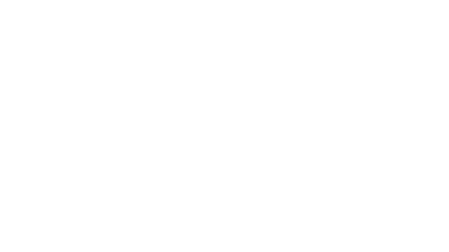 Tekken Tag Tour